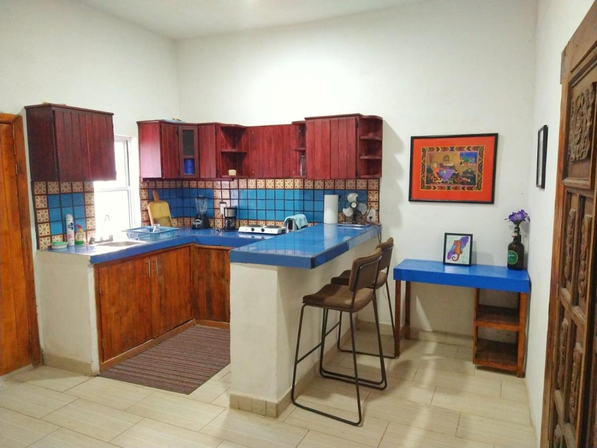 Casa Rio Cuale And River Retreat Puerto Vallarta Kültér fotó