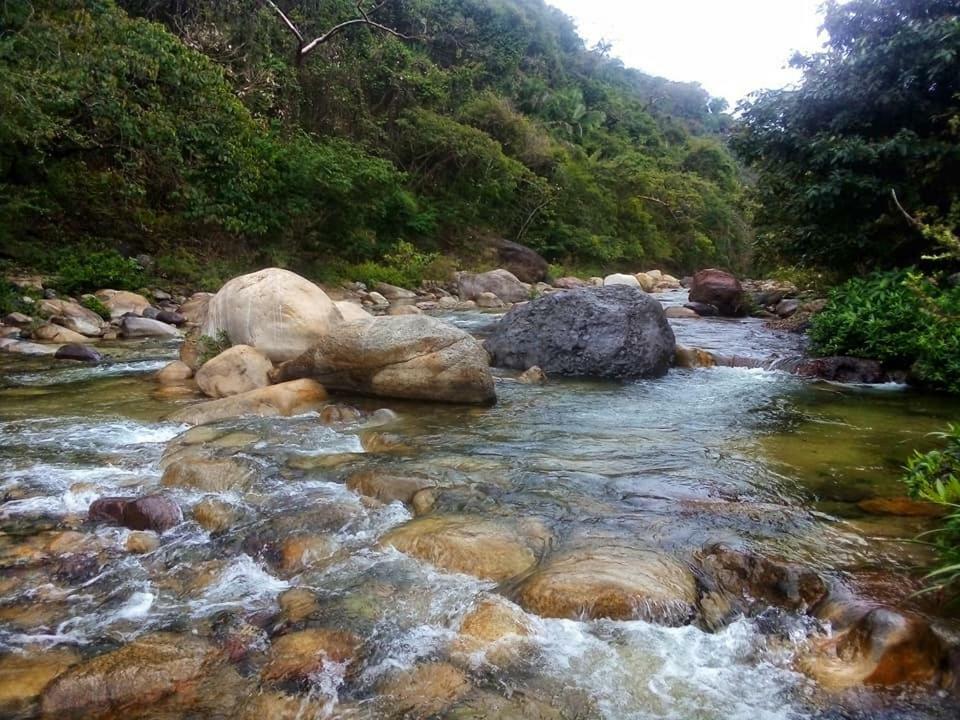 Casa Rio Cuale And River Retreat Puerto Vallarta Kültér fotó